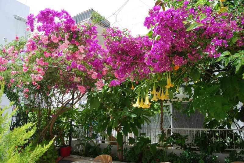 Kale Hotel Bodrum Ngoại thất bức ảnh